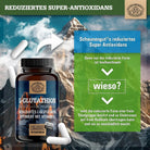 Reduziert & aus pflanzlicher Fermentation - optimiert mit Vitamin C Scheunengut - Shop