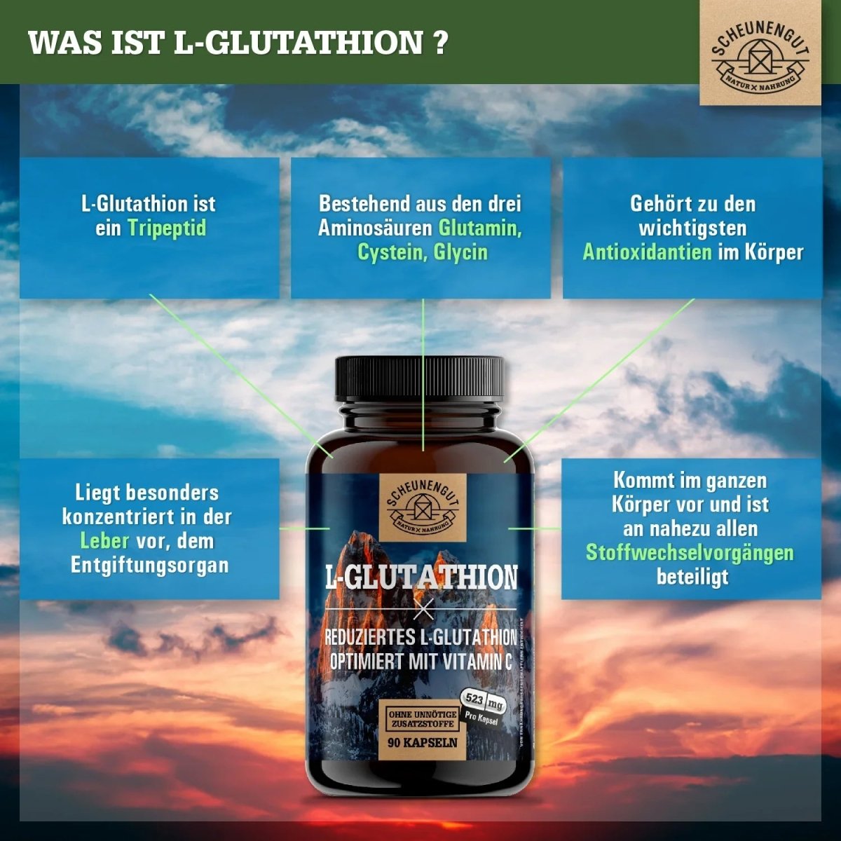 Reduziert & aus pflanzlicher Fermentation - optimiert mit Vitamin C Scheunengut - Shop