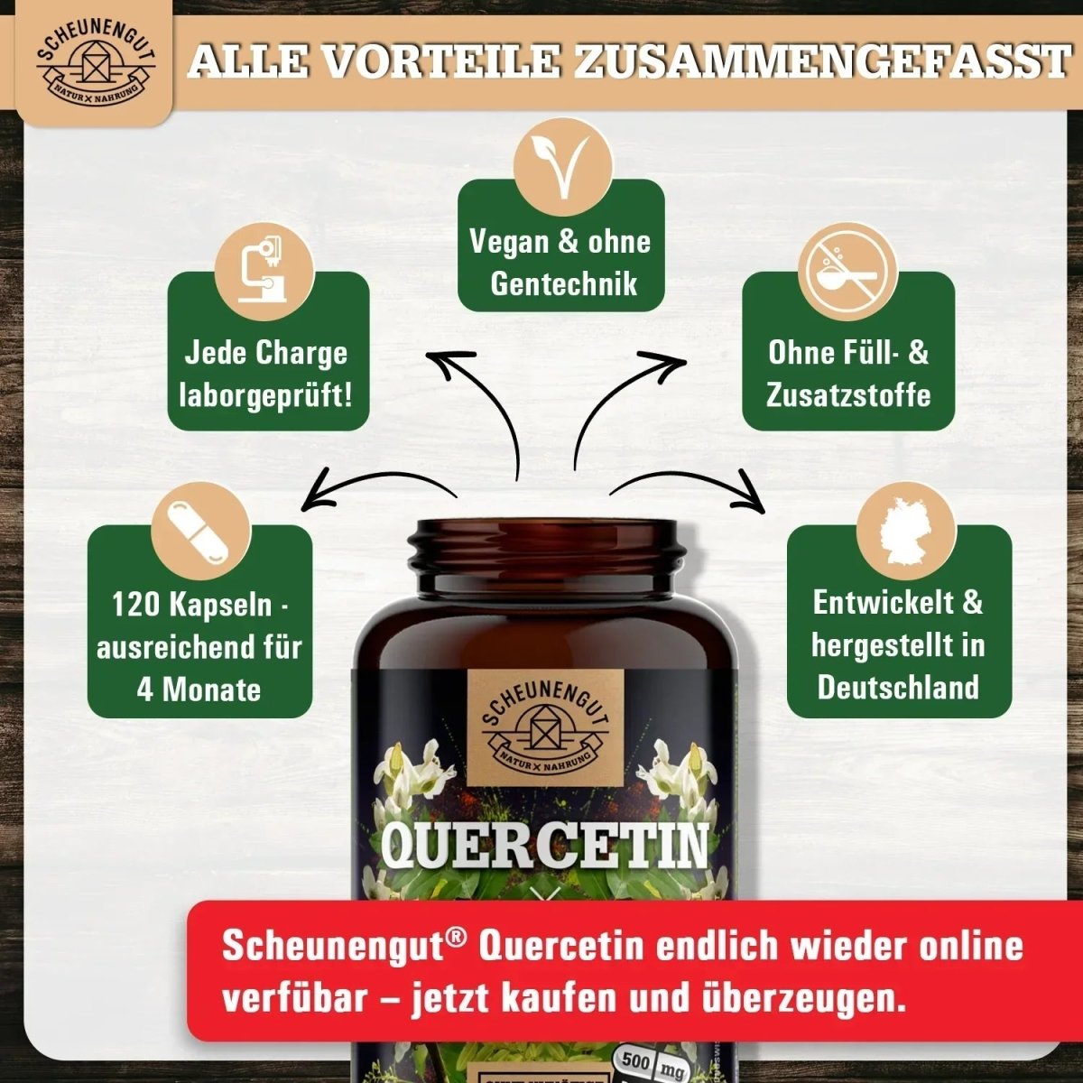 Sophora Japonica Extrakt mit garantierten 98% Quercetin Scheunengut - Shop