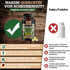 Sophora Japonica Extrakt mit garantierten 98% Quercetin Scheunengut - Shop